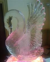 Eyes4ice -  Elegant Swan Ice Sculpture (ES-02) for a wedding  buffet-style reception